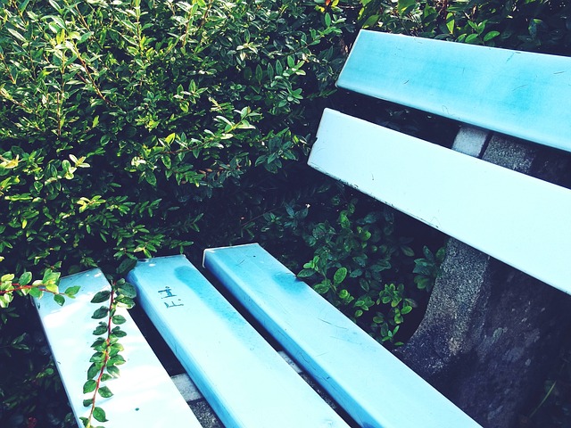 威少本赛季4次三双，次数仅次于约基奇和吉迪