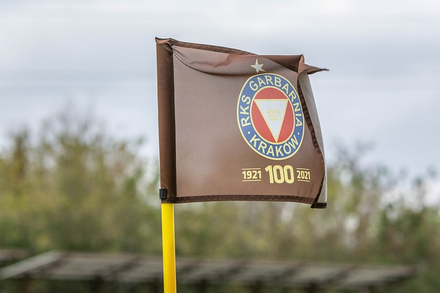 太阳报：女演员悉尼妹恢复单身后收到了大量英超球星的私信